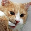 민치과의원 이미지