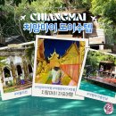 러블리 몽 | 치앙마이 여행 가볼만한곳 왓우몽 도이수텝 야경 투어