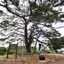 주전경로당 이미지