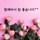 세계푸드