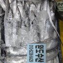 ✅️10/8일 목포 참조기 엄청 싱싱합니다 안강망배 바라조기 선도최강 맛있습니다 이미지