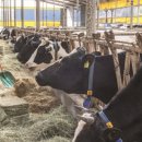 차다목장 이미지