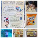 포레나어린이집 | 내돈내산 현충일 연휴 아이랑 갈 곳 아쿠아플라넷 광교 후기