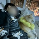 팔십사번째 주간일기 : 2월 둘째주차