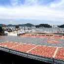 팜비치 리조텔 이미지