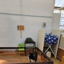 대신부화장 | 부천 아이랑 가볼만한곳 부천나눔농장 동물체험