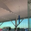 포항지형산책 | [신행일기1] 대한항공 하와이 행 왕복 후기