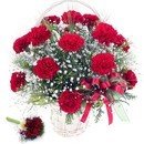 영재목장 이미지