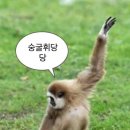 국제전자 이미지