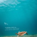 J-PARK(제이파크) 이미지