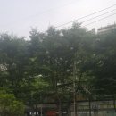 이지논술보습학원