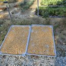 대건농장 이미지