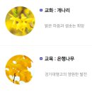 경기대명고등학교 이미지