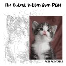 Hello Kitten 이미지