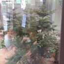 횡성(인천) 이미지