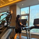 파머스펫 | 문래동 헬스장 PT 추천｜다양한 하이브리드 운동이 가능한 헬스장