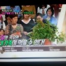 새싹농장 네이버블로그