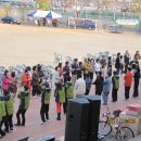영월초등학교 Daum카페