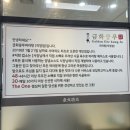 금화쿵푸 이미지