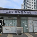 냥스터치 이미지