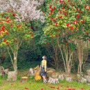 GS25 서귀포점 이미지