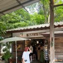 치어빌리지 | [치앙마이🌱] 먹고 놀고 쇼핑하고 온 빼곡한 3일 중 둘째날의 일기