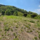 마재공인중개사사무소 이미지