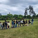 나토얀 태권도 스쿨 이미지