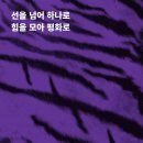 [2018 평창]선을 넘어 하나로 힘을 모아 평화로…평창남북평화영화제 개최(2019.07.15) 이미지