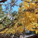 지정부분정비 이미지