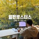 제주나루 | 마곡나루 가을 은행나무 통창 뷰 최고 마들렌 맛집 카페 &#39;피핀커피로스터스&#39;