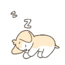 아라애견 이미지