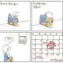 안경박사 이미지