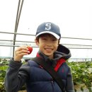 백두 태권도장 이미지