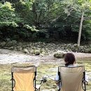 프롬 스테이 | [1년 전 오늘] [서울근교 반려인 추천] 강아지 없이 간 계곡애견쉼터 후기🐾 백숙맛집 & 프롬밀크 솔직리뷰!