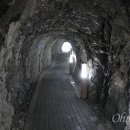 바지나라 이미지