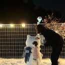 여주 다리원 애견독채팬션 이미지