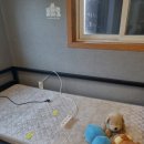 양평고등학교 | 경기도 양평 집정리 &amp; 폐기물정리 한 번에! 믿고 맡기는 후기