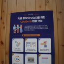 대전서구치매안심센터 이미지