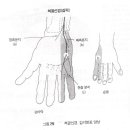 척골신경압박과 주관터널증후군(ulnar nerve compression and cubital tunnel syndrome) 이미지