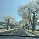 꿀벌주유소 이미지