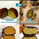 씨스페이스대전대흥점 | 대전 빵지순례 몽심 대흥점 시그니처 샌드위치 먹어보기