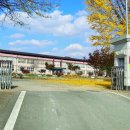 한국전통창조박물관 이미지