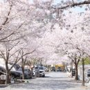 밀양표충오토캠핑장 이미지