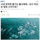 [KBS뉴스] 사냥 당하듯 쫓기는 돌고래떼…낚시 어선은 법망 사각지대? 이미지