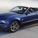 선인자동차(주) 이미지