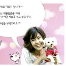 윤지애견 Daum카페