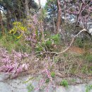 간석3동-20 이미지