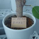 기업연합행정사사무소 이미지