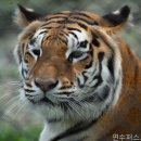 인천치과 연수퍼스트치과의원 편안한 진료 경험